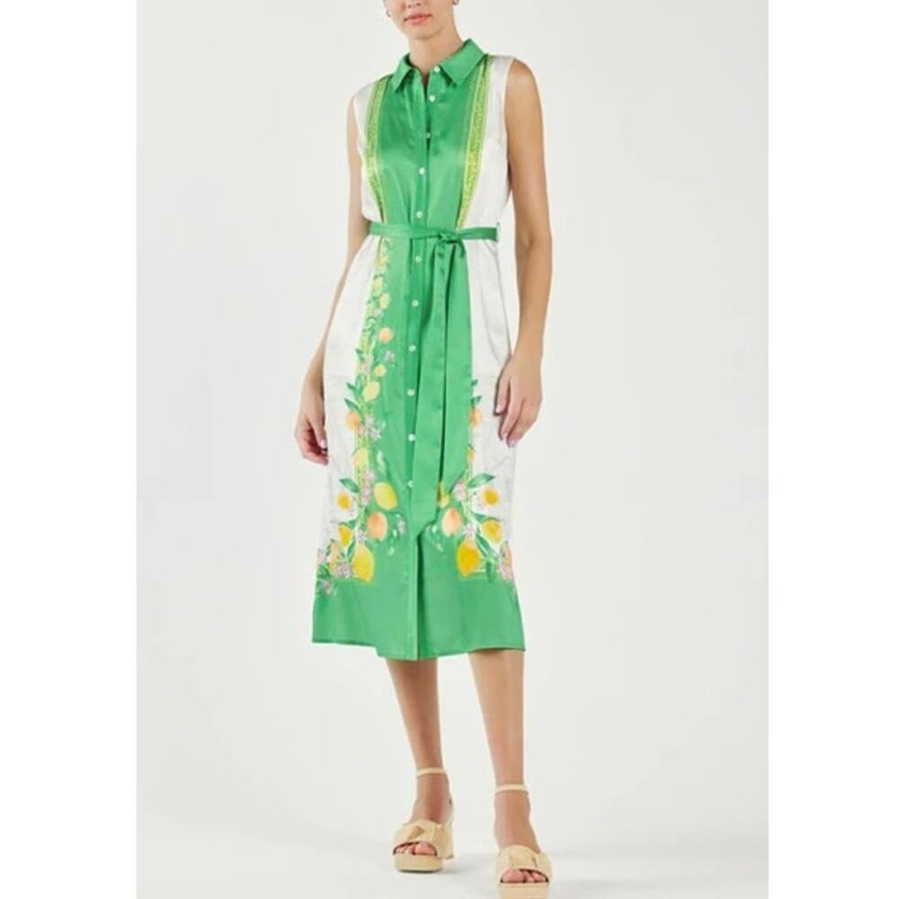 Current Air Anthropologie Sleeveless Button Up Shirt Dress Green White Small